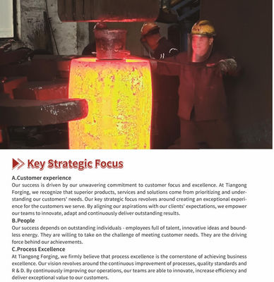 ISO14001 Forged Steel Block Customizable Forged Parts Hydraulic Breakers Precision Steel Block